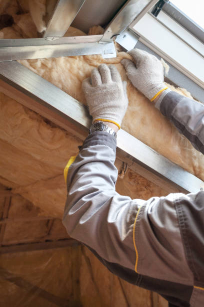 Best Attic Insulation Installation  in Camden, AL