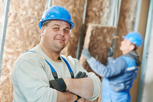 Best Insulation Air Sealing  in Camden, AL